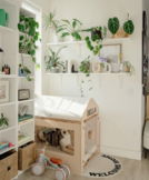 Bright room with shelves of plants and a dog house.